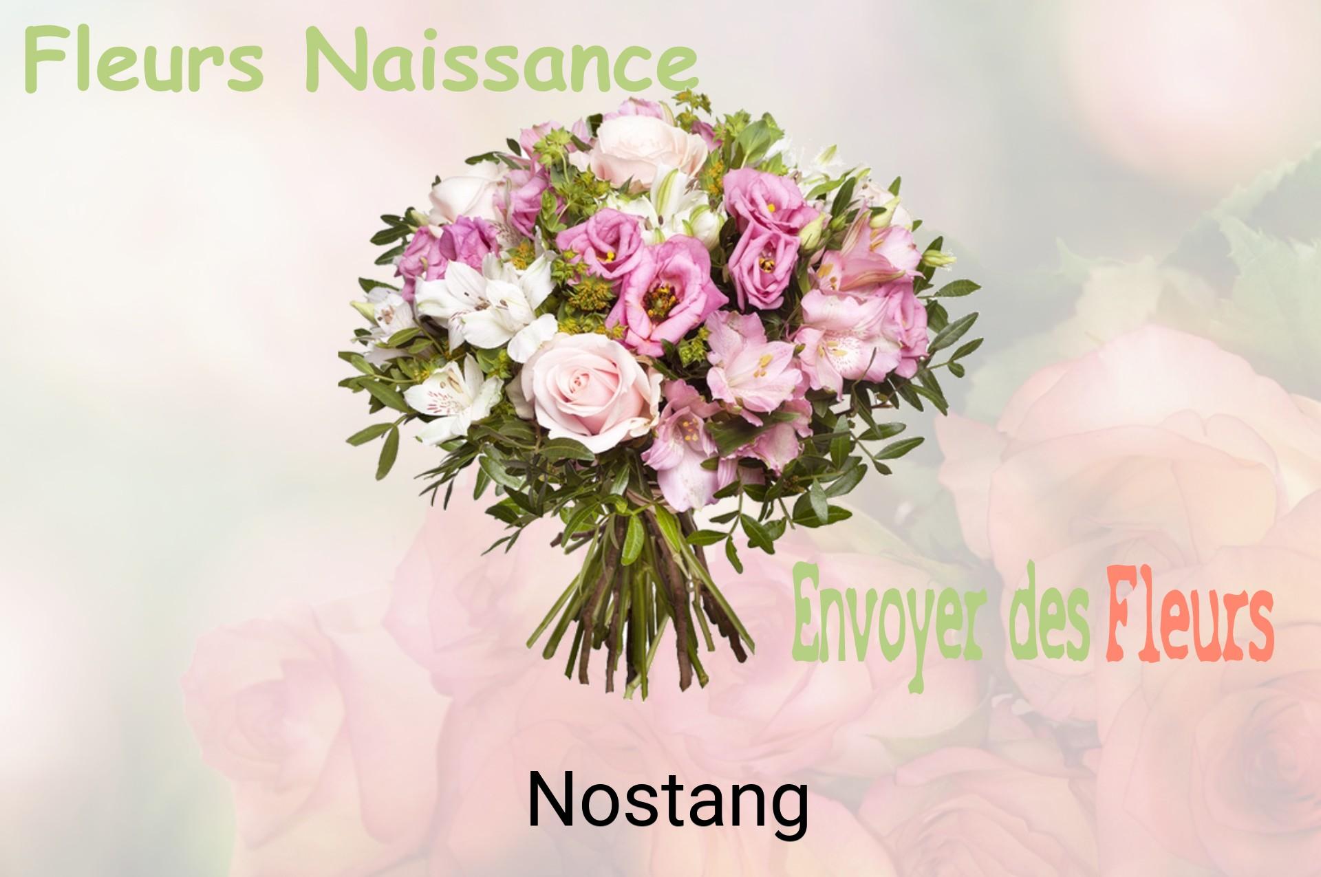 Bouquet de fleurs de naissance livré à Nostang
